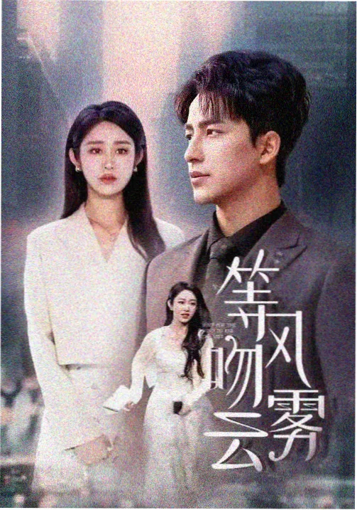 99视频免费观看电视剧 无声证人